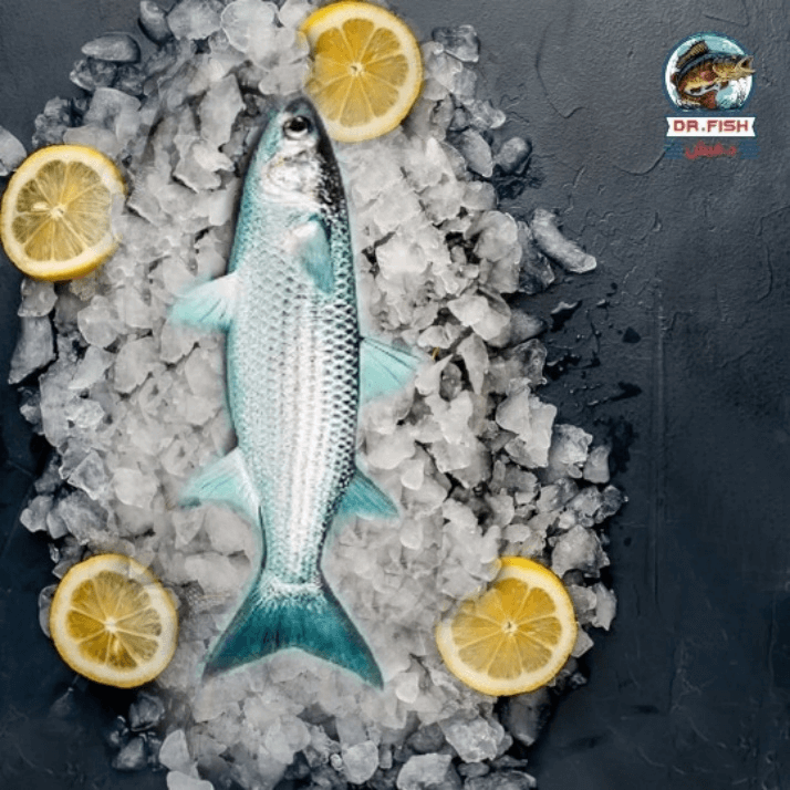 بوري مشوي ردة old