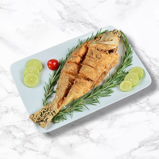 [10102] صافي مقلي