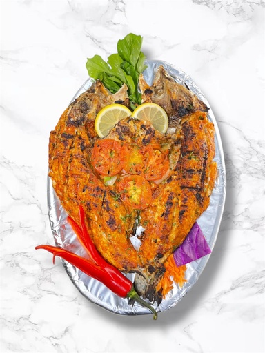 [10147] قروص سنجاري 